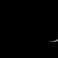 Луна и Венера, 23 апреля 2023г. :: Виктор Иванович Чернюк