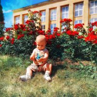Мальчик с бабочкой на фоне  красных роз :: Юлия Трушина