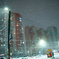 Снежное фото :: Анна Лазарева