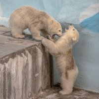 разговор по душам :: аркадий 