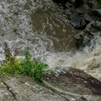 Водопад :: Роман Савоцкий