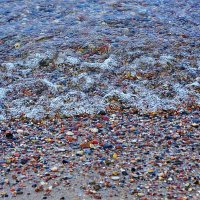 Прозрачность Балтийской воды :: Валерий Перевозчиков