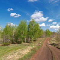 По апрельским дорогам... :: Андрей Заломленков (настоящий) 