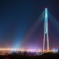Мост на остров Русский :: Лада Полянская