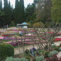 Крым,Никитский  ботанический сад :: Валентин Семчишин