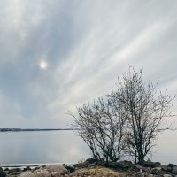Финский залив :: Юлия Бабаева
