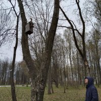 В парке. Встреча с белкой. :: Мария Васильева