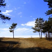 На берегу . Последний день апреля . :: Мила Бовкун