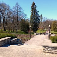 Весна в парке Кадриорг :: veera v