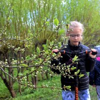 - Во всём хочу дойти до сути - :: Татьяна Помогалова