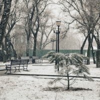 Снегопад в сквере на Чехова :: Константин Бобинский