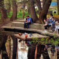 Оазис в самом центре мегаполиса. :: Татьяна Помогалова