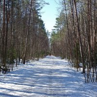 Снег теперь уже не тот... :: веселов михаил 