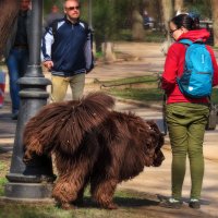 Питер повседневный.. :: AZ east3