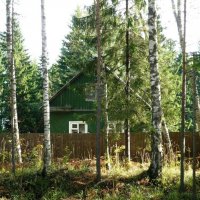 Дом в лесу :: Вера Щукина