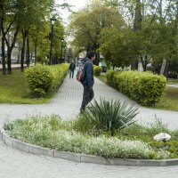 Аллея в парке и  пешеходы :: Валентин Семчишин