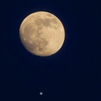 луна и спика :: Alisa Koteva 