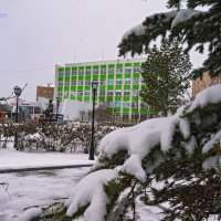 7 мая в Ухте, толщина снежного покрова 15-20 см. :: Николай Зиновьев