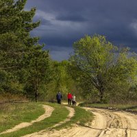 Загородная прогулка :: оксана 