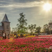 В солнечной стране. :: Игорь Сарапулов