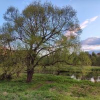 Вечер на реке Серая :: Денис Бочкарёв
