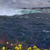 Ниагарский водопад. :: Светлана Хращевская