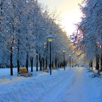 парк зимой :: Владимир иванов