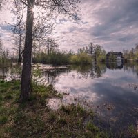 Река Вуокса в мае. :: Олег Бабурин