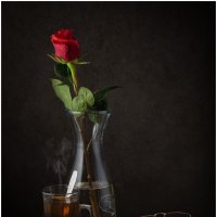 Чай и роза :: Алексей Мезенцев