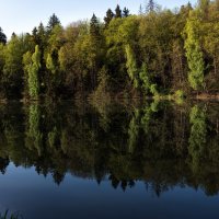 Лесное озеро в мае. :: Владимир Безбородов