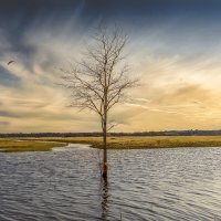 Половодье на Нерли :: Александр Белый