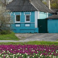 Домик у реки ... :: Сеня Белгородский