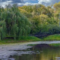 Парк усадьбы Свиблово :: Aleksey Afonin