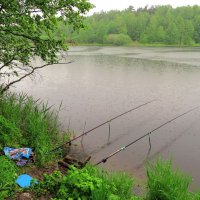 Рыбалка под дождём :: Андрей Снегерёв