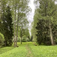 В Павловском парке весной. :: Татьяна Ф *