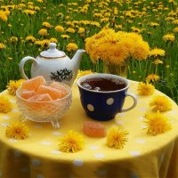 Весеннее чаепитие! :: Нина Андронова