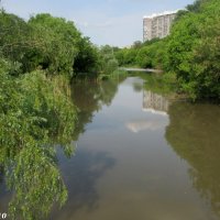 В ростовском экопарке :: Нина Бутко