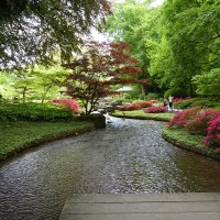 Японский садик...... :: Galina Dzubina