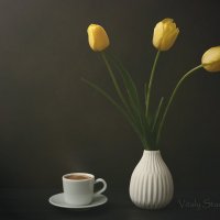 Кофе и тюльпаны :: Виталий Стасов