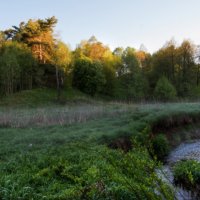 Прохладное утро. :: Владимир Безбородов