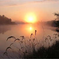 Розовый рассвет :: Геннадий Худолеев Худолеев