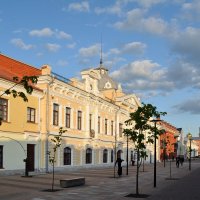 Тула. Пешеходная улица Металлистов :: Николай 