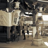 Kushida-jinja Shrine Святилище Кусида-дзиндзя Фукуока Япония :: Alm Lana