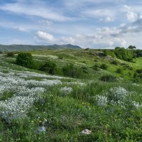 Нижнее плато Чатыр-Дага, июнь :: Игорь Кузьмин