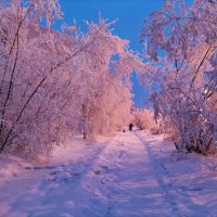 Зима в городе :: Anna Ivanova