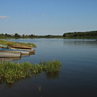 Река Сухонь. :: Ирина Нафаня