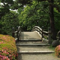Мост - символ жизненного пути  японский сад Токио Япония :: wea *