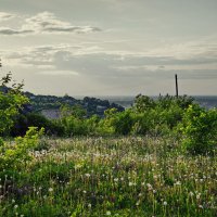 "Сквозь травы.  Не самый теплый день лета"© :: Владимир Макаров