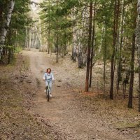 Велопрогулки по лесам Красноярки :: Сергей Царёв
