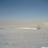 Мороз :: Anna Ivanova